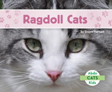 Ragdoll Cats - Book  of the Gatos / Cats