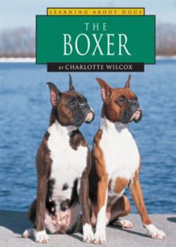 Hardcover The Boxer Book