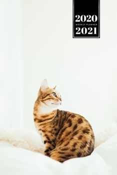 Bengal Cat Kitten Kitty Tomcat Week Planner Organizer 2020 / 2021 - Just Sitting: Cute Animal Pet Owner Weekly Bullet Journal Notebook Diary in 6” x 9” Inch Pocket Size