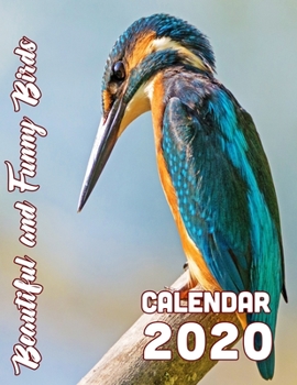 Paperback Beautiful and Funny Birds Calendar 2020: 14-Month Desk Calendar Showing Some Strange and Beautiful Animals on Wing Book