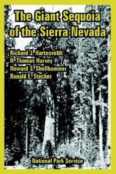 Paperback The Giant Sequoia of the Sierra Nevada Book