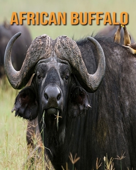 Paperback African buffalo: Childrens Book Amazing Facts & Pictures about African buffalo Book