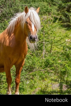 Paperback Notebook: Cavallo, Wild Horse, Pantano Pony, Palude taccuino / agenda / quaderno delle annotazioni / diario / libro di scrittura Book