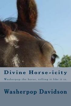 Divine Horse-icity: Washerpop the horse, telling it like it is. He calls a spade a spade alright. A 20th century Black Beauty on spiritual crack. Warning: you may not come out of the end of this book,