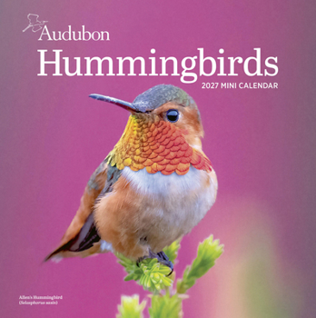 Mini-Disc Audubon Hummingbirds Mini Wall Calendar 2027 Book