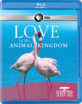 Blu-ray Nature: Love in the Animal Kingdom Book