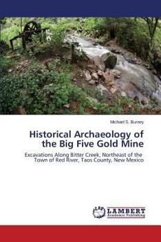 Paperback Historical Archaeology of the Big Five Gold Mine Book