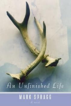 Hardcover An Unfinished Life Book