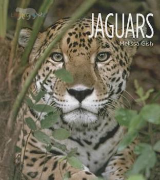 Library Binding Jaguars Book
