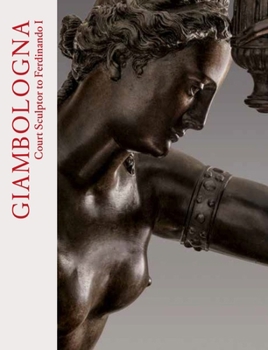 Giambologna and the Gardens of Henri IV