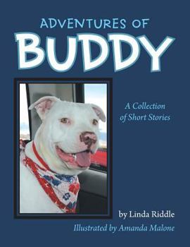 Paperback Adventures of Buddy: A Collection of Short Stories Book