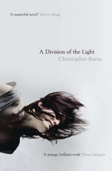 Paperback A Division of the Light Book