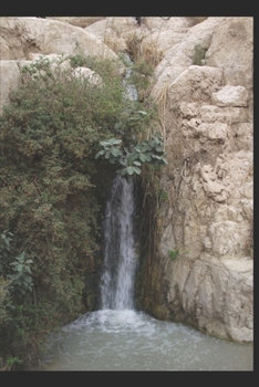 Paperback Transformed Pain: How God Makes it Good Book