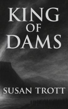 Hardcover King of Dams Book