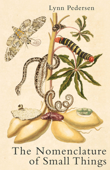 Paperback The Nomenclature of Small Things Book