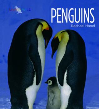 Library Binding Penguins Book