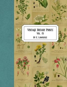 Paperback Vintage Botany Prints: Vol. 15 Book