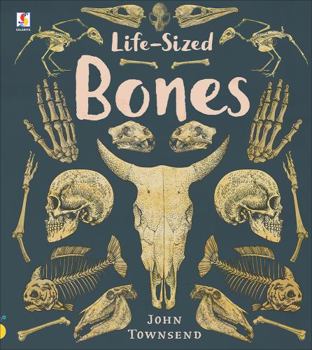 Life-Sized Bones Book Cover