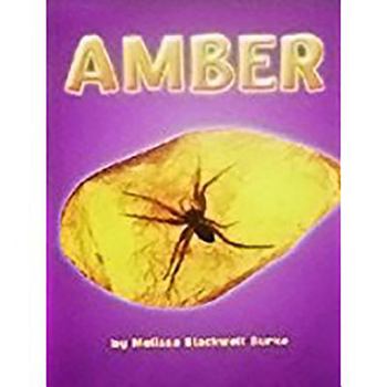 Paperback Houghton Mifflin Science: Ind Bk Lv3 Chp3 on Level Amber Book