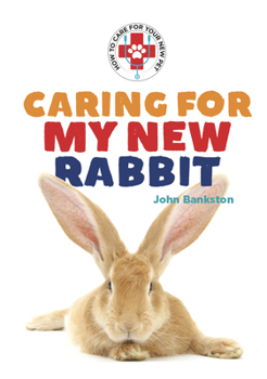 Caring for My New Rabbit
