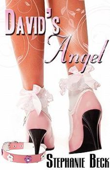 David's Angel - Book #1 of the David & Polly