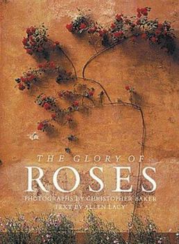 Paperback Glory of Roses Book