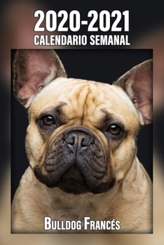 2020-2021 Calendario Semanal Bulldog Francés: 221 Páginas | Tamaño A5 | 24 Meses | 1 Semana en 2 Páginas | Planificador | Agenda Semana Vista | Canófilo | Perro | En Español (Spanish Edition)