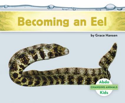 Library Binding Becoming an Eel Book