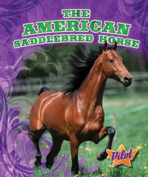 The American Saddlebred Horse - Book  of the Horse Breed Roundup