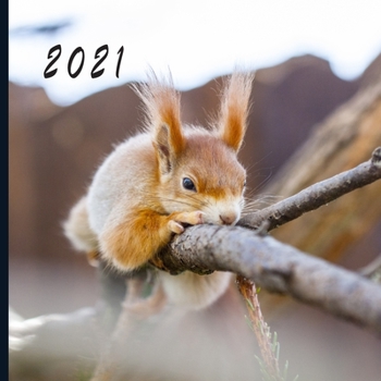 2021: Monthly Photo Calendar - January 2021 - December 2021 - Monthly Calendar with U.S./UK/ Canadian/Christian/Jewish/Muslim Holidays - Squirrel Photo Calendar