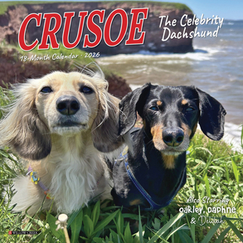 Mini-Disc Crusoe the Celebrity Dachshund 2026 Mini Wall Calendar Book