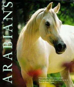 Hardcover Arabians Book