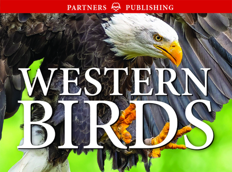 Paperback Western Birds: Pocket Guide Book