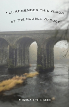 Paperback I'll Remember this Vision of the Double Viaduct Book