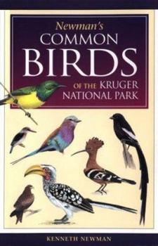 Paperback Newman's Common Birds of the Kruger National Park Book