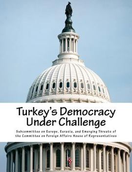 Paperback Turkey's Democracy Under Challenge Book