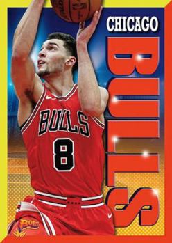 Library Binding Chicago Bulls Book