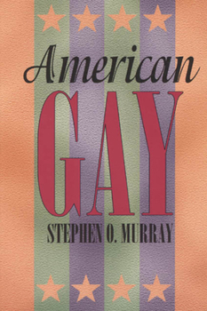 Paperback American Gay Book