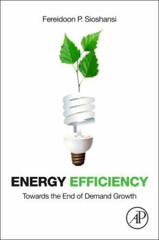 Hardcover Energy Efficiency: Towards the End of Demand Growth Book