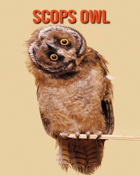 Scops Owl: Amazing Facts about Scops Owl