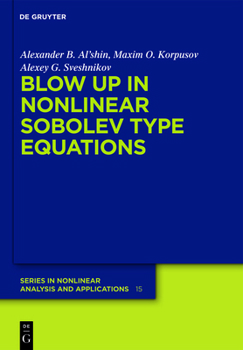 Hardcover Blow-Up in Nonlinear Sobolev Type Equations Book