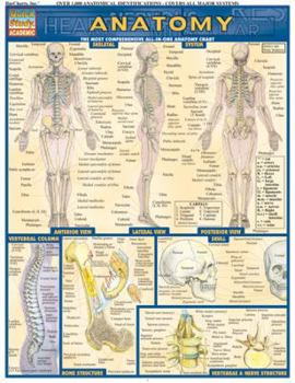 Pamphlet Anatomy Book