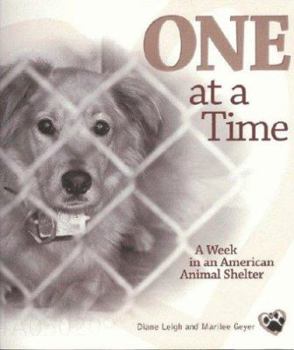 Paperback One at a Time: A Week in an American Animal Shelter Book