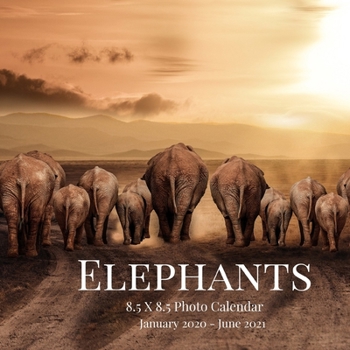 Elephants 8.5 X 8.5 Photo Calendar January 2020 - June 2021: 18 Monthly Mini Picture Calendar Book| Cute 2020-2021 Year Blank At A Glance Monthly ... 18 Months Engagement| Pet Animals Theme.