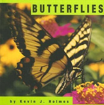 Paperback Butterflies Book