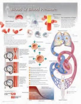 Misc. Blood & Blood Pressure Wall Chart: 8160 Book