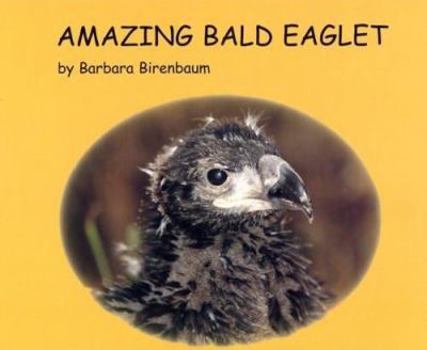 Hardcover Amazing Bald Eaglet Book