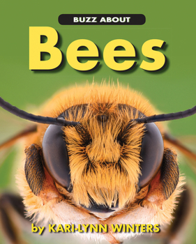 Paperback Buzz about Bees Book
