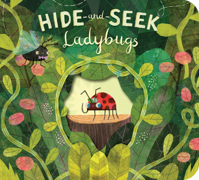 Board book Hide-And-Seek Ladybugs Book