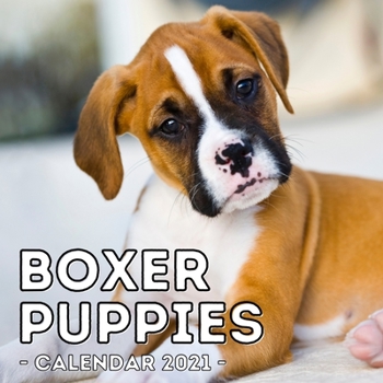 Paperback Boxer Puppies Calendar 2021: 16-Month Calendar, Cute Gift Idea For Boxer Dog Lovers Men & Women Book